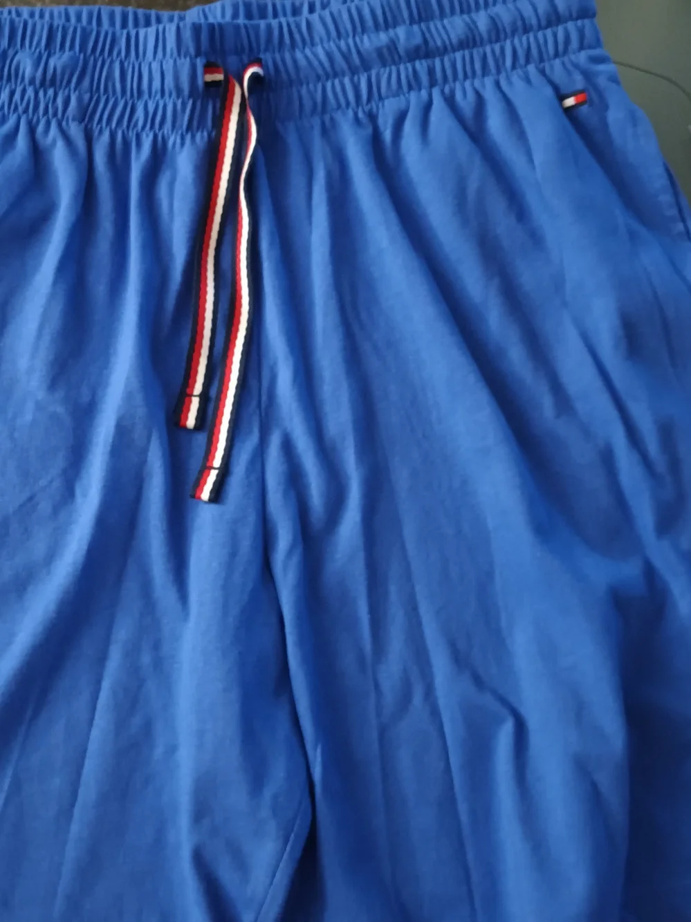 Men's Blue Shorts with Drawstring - Tommy Hilfiger